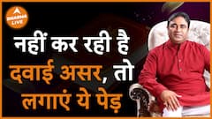 लगाएं ये पेड़ अगर नहीं कर रही है दवाई असर Plant this tree Tips Dharma Live