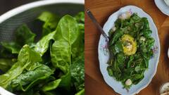 Palak Dal : சாதத்திற்கு நல்ல காம்பினேஷன்..பாலக்கீரை பருப்பு ரெசிபி!