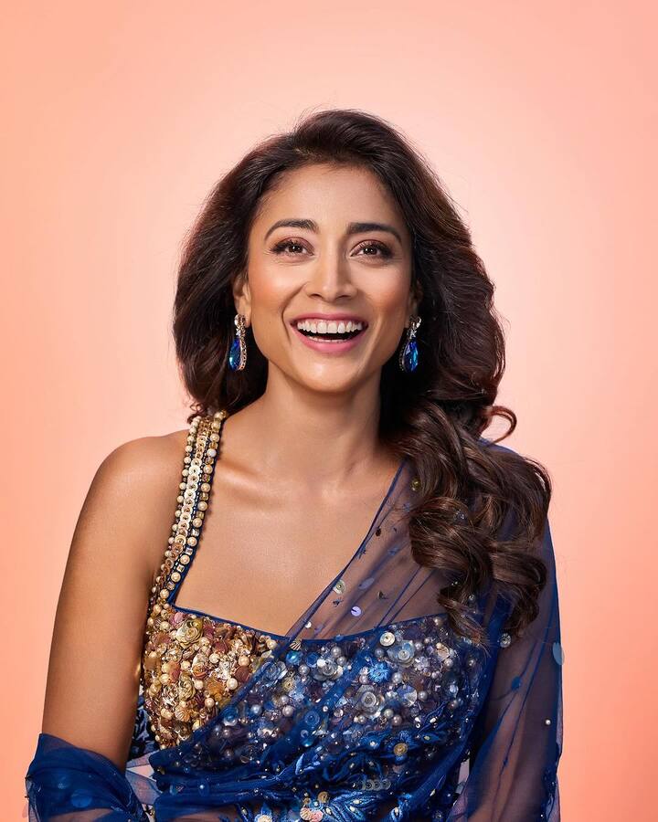 నాగార్జునతో కలసి నటించిన సంతోషం మంచి బ్రేక్ ఇచ్చింది. ఆ తర్వాత టాప్ హీరోలతో నటిస్తూ వరుస బ్లాక్ బస్టర్ హిట్స్ అందుకుంది.