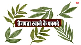 तेजपत्ता खाने से लिवर-किडनी को मिलते हैं गजब के फायदे, जानिए क्यों खाना है जरूरी?