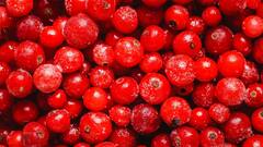 क्रैनबेरी को इन 6 तरीकों से डाइट में कर सकते हैं शामिल