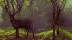 Optical Illusion: इस तस्वीर में छिपा है हिरण, 5 सेकेंड में खोजकर निकालने का है चैलेंज