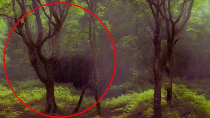 अगर आप सही जवाब नहीं दे पाए तो हम इसका सही जवाब बता रहे हैं.