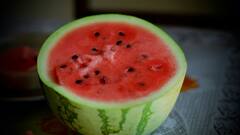 Watermelon: தர்பூசணி வாங்குமுன் கவனிக்க வேண்டிய விஷயங்கள் - தெரிஞ்சிக்கலாம் வாங்க!