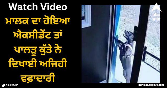 this dog comes to rescue of owner after accident Viral Video: ਮਾਲਕ ਦਾ ਹੋਇਆ ਐਕਸੀਡੇਂਟ ਤਾਂ ਪਾਲਤੂ ਕੁੱਤੇ ਨੇ ਦਿਖਾਈ ਅਜਿਹੀ ਵਫ਼ਾਦਾਰੀ, ਲੋਕਾਂ ਨੇ ਖੂਬ ਕੀਤੀ ਤਾਰੀਫ