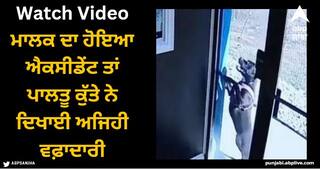 Viral Video: ਮਾਲਕ ਦਾ ਹੋਇਆ ਐਕਸੀਡੇਂਟ ਤਾਂ ਪਾਲਤੂ ਕੁੱਤੇ ਨੇ ਦਿਖਾਈ ਅਜਿਹੀ ਵਫ਼ਾਦਾਰੀ, ਲੋਕਾਂ ਨੇ ਖੂਬ ਕੀਤੀ ਤਾਰੀਫ