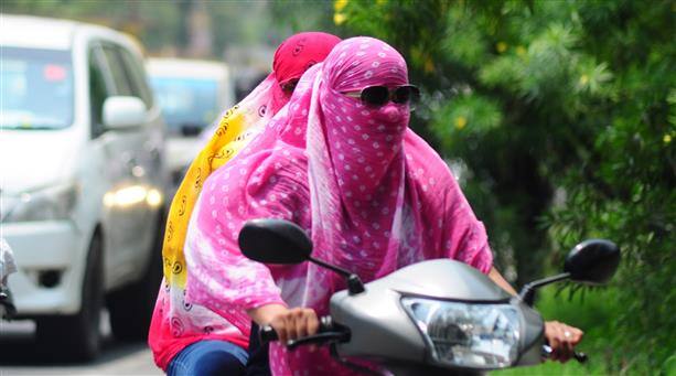 High Court on Chandigarh Sikh Women Helmet case Sikh Women Helmet: ਚੰਡੀਗੜ੍ਹ 'ਚ ਸਿੱਖ ਔਰਤਾਂ ਵੱਲੋਂ ਹੈਲਮੇਟ ਨਾ ਪਹਿਨਣ 'ਤੇ ਸਖ਼ਤ ਹੋਇਆ ਹਾਈਕੋਰਟ, ਕੇਂਦਰ ਦੇ ਜਵਾਬ 'ਤੇ ਲਾਈ ਫਟਕਾਰ 