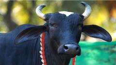 आता घरबसल्या मिळणार गायी- म्हशी, करोडो रुपयांचं पॅकेज सोडून तरुणांनी सुरु केला अनोखा व्यवसाय 