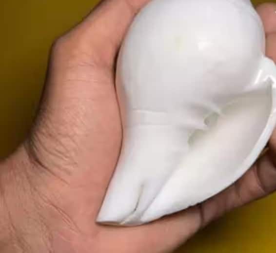 જો તમે તમારા ઘરમાંથી વાસ્તુ દોષ દૂર કરવા માંગો છો તો તમારા ઘરમાં શંખ રાખો. તેમજ દરરોજ નિયમિત રીતે શંખ નાદ કરો.