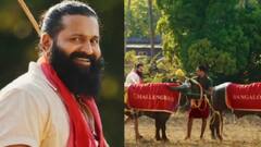 கோப்பையை வெல்ல புதிய வழி...பெயரை மாற்றும் ஆர்.சி.பி ? ரிஷப் ஷெட்டி வைரல் வீடியோ!