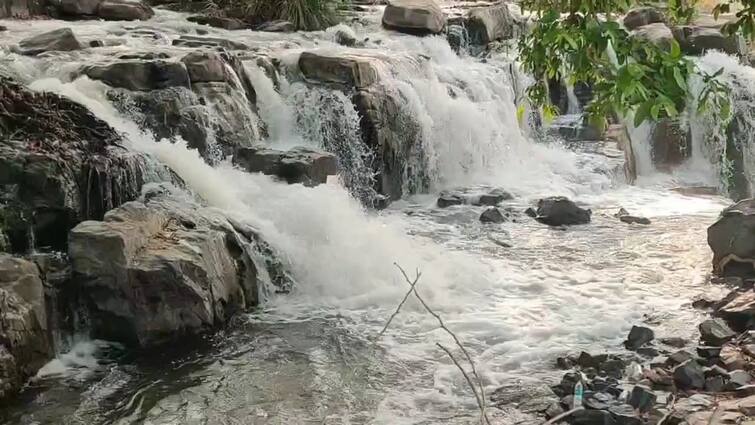 Dharmapuri news Sudden increase in flow in river Cauvery after last six months in hogenakkal - TNN காவிரியில் 6 மாதங்களுக்குப் பிறகு திடீர் நீர்வரத்து அதிகரிப்பு- ரம்மியமாக காட்சியளிக்கும் ஒகேனக்கல் அருவி