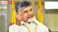ప్రత్యేకహోదా తప్ప మరే విషయంలోనూ బీజేపీతో విభేదాలు లేవు - చంద్రబాబు క్లారిటీ