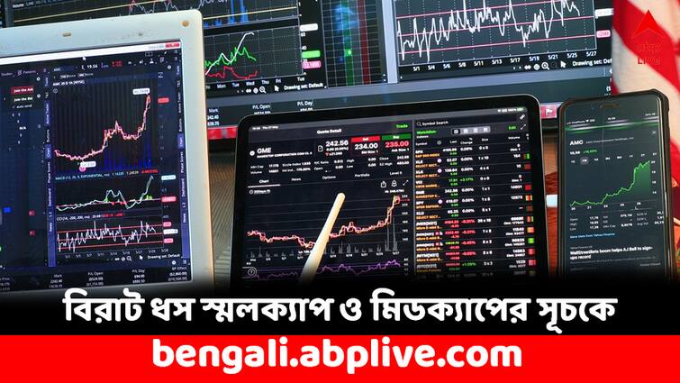 Small cap and Midcap Stocks plunge down after SEBI Chief Warning what should you do Market Crash: সেবির সতর্কবার্তার পরেই বিরাট ধস স্মলক্যাপ-মিডক্যাপে, ১১ লাখ কোটি খোয়ালেন বিনিয়োগকারীরা- কী করবেন ?