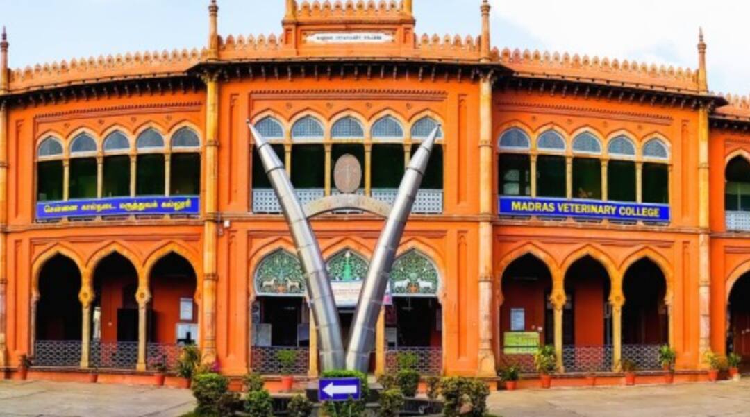 TANUVAS: சென்னை கால்நடை மருத்துவ பல்கலைக்கழக பட்டமளிப்பு விழா: புறக்கணித்த அமைச்சர் அனிதா ராதாகிருஷ்ணன்- என்ன காரணம்?