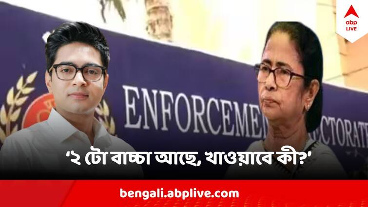 Mamata Banerjee Comments On Abhishek Banerjee Property Attach Issue showing concern about his income Mamata On Abhishek Banerjee : 'অভিষেক বিয়ে করেছে, ২ টো বাচ্চা আছে, খাওয়াবে কী?' উদ্বেগে মমতা
