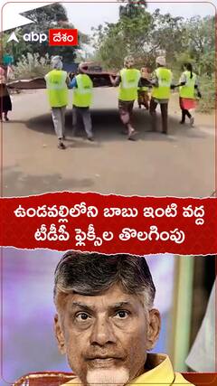 Chandrababu Undavalli House: ఉండవల్లిలోని చంద్రబాబు నివాసం వద్ద టీడీపీ ఫ్లెక్సీల తొలగింపు