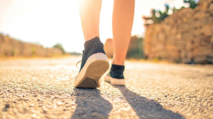 Morning Walk Benefits : तुम्ही दररोज 1 तास मॉर्निंग वॉक केला तर आजार दीर्घायुष्यासाठी दूर राहू शकतात.