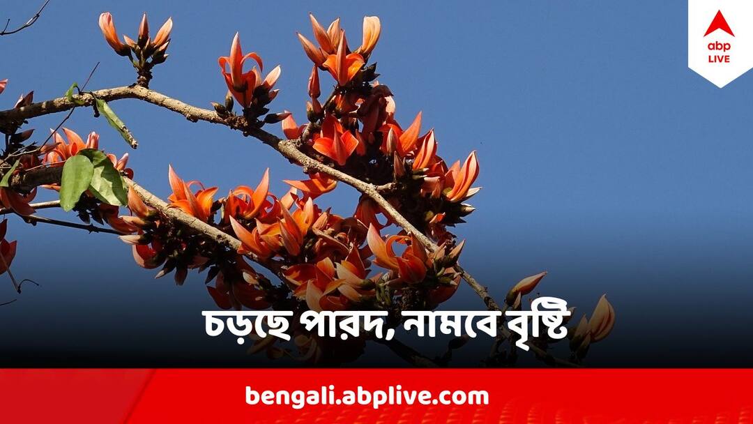 West Bengal Weather Update 13 March Weather News Rain Predicted In West Bengal Districts Weather Update : ক্রমেই বাড়ছে গরম, আজ থেকেই বিক্ষিপ্ত বৃষ্টি, উইকএন্ডে ভাসবে শহর থেকে জেলা