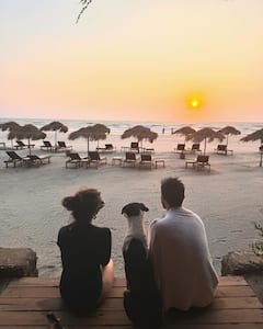 Krishna Mukherjee Anniversary: पहली वेडिंग एनिवर्सरी पर पति संग रोमांटिक हुईं 'ये है मोहब्बतें' फेम कृष्णा मुखर्जी, शेयर की खूबसूरत पलों की तस्वीरें