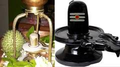 Nil Sasthi 2024 : নীল ষষ্ঠী পালনে কী উপকার ? এ বছর কবে পালন করবেন ষষ্ঠী ?