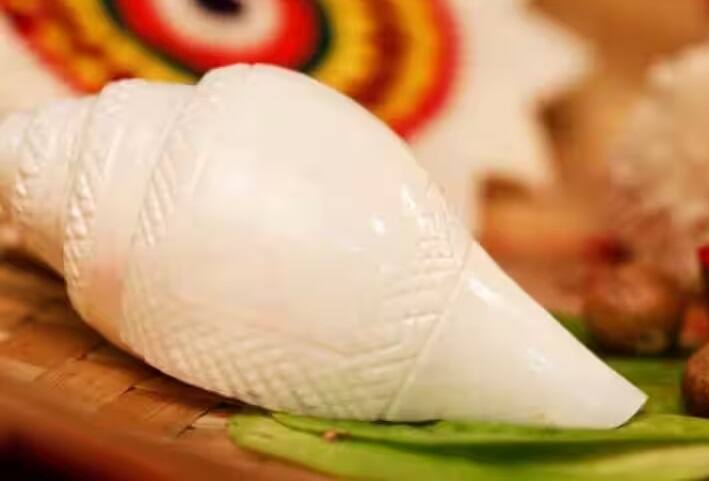 શંખમાં પાણી કે ચોખા કે ગંગા જળ નાખીને ઘરમાં છાંટો આ કરવાથી બધી મનોકામનાઓ પૂર્ણ થાય છે
