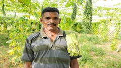 கொடி பாகற்காய் சாகுபடியில் நல்ல வருமானம் பார்க்கும் சின்னையன்குடிகாடு விவசாயி