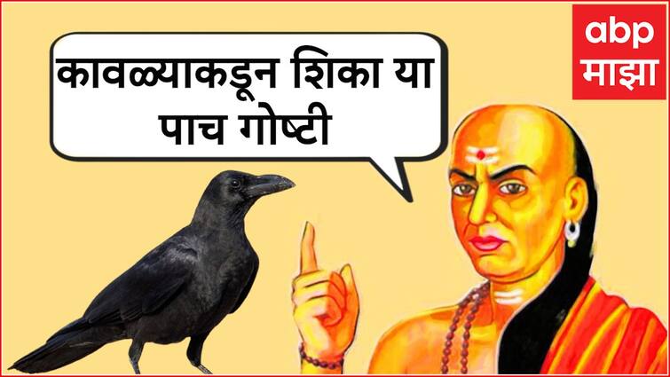 chanakya niti Learn Five Things From Crow To Get Success Tips  Mantra Life Management Marathi News काळाकुट्ट, अपशकुनी म्हणून हिणवल्या जाणाऱ्या कावळ्याकडून शिका या पाच गोष्टी; चाणक्य म्हणतात, यश तुमच्या पायाशी लोटांगण घालेल!