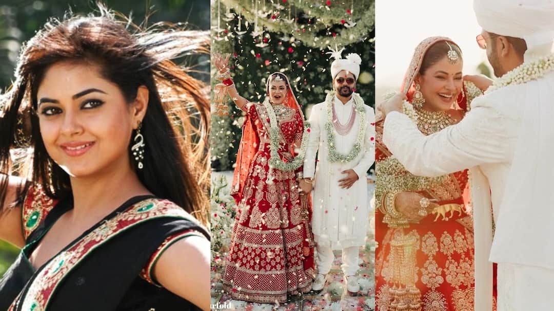 Meera Chopra: காதலரை கரம்பிடித்த எஸ்.ஜே.சூர்யா பட நாயகி நிலா.. லைக்ஸ் அள்ளும் க்யூட்டான புகைப்படங்கள்!