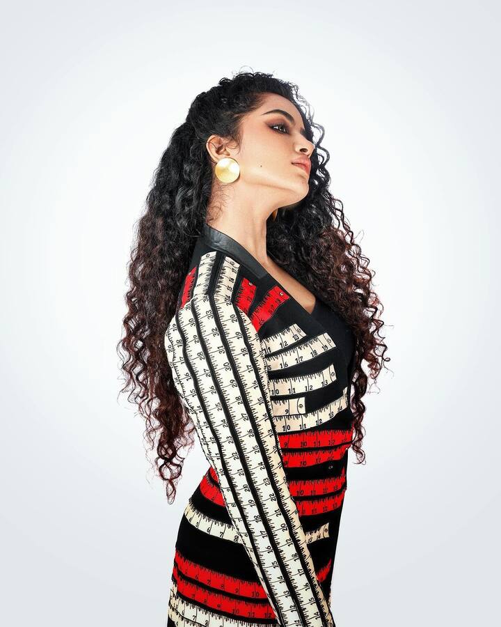 அதனை தொடர்ந்து தனுஷின் கொடி படத்தில் நடித்து தமிழ் சினிமாவில் அறிமுகமானார்.