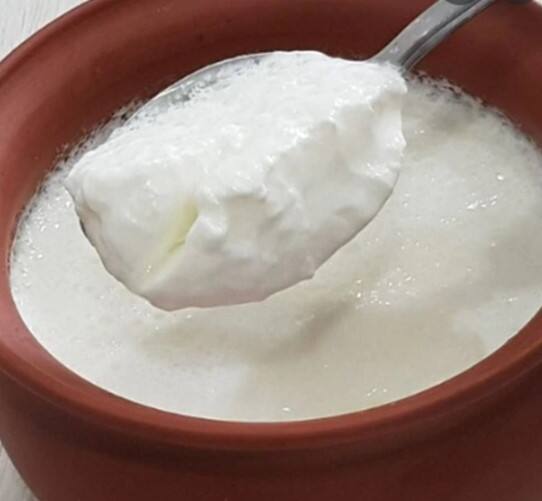 'ਓਨਲੀ ਮਾਈ ਹੈਲਥ' 'ਚ ਛਪੀ ਖਬਰ ਮੁਤਾਬਕ ਗਰਮੀਆਂ 'ਚ ਦਹੀਂ ਖਾਣਾ ਫਾਇਦੇਮੰਦ ਹੁੰਦਾ ਹੈ ਪਰ ਜੇਕਰ ਤੁਸੀਂ ਜ਼ਿਆਦਾ ਦਹੀਂ ਖਾਂਦੇ ਹੋ ਤਾਂ ਇਹ ਸਰੀਰ ਲਈ ਨੁਕਸਾਨਦੇਹ ਸਾਬਤ ਹੋ ਸਕਦਾ ਹੈ। ਕਿਉਂਕਿ ਦਹੀਂ ਦੀ ਤਾਸੀਰ ਠੰਡੀ ਨਹੀਂ ਸਗੋਂ ਗਰਮ ਹੁੰਦੀ ਹੈ। ਬਚਪਨ ਤੋਂ ਹੀ ਅਸੀਂ ਜਾਣਦੇ ਹਾਂ ਕਿ ਇਸ ਦਾ ਸੁਭਾਅ ਠੰਡਾ ਹੈ ਪਰ ਆਯੁਰਵੇਦ ਅਨੁਸਾਰ ਇਸ ਦੀ ਤਾਸੀਰ ਗਰਮ ਹੈ।