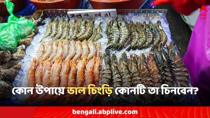 Prawn Recipe: অনেক সময় চিংড়ি মাছ কিনতে গিয়ে আমরা ঠকে যাই