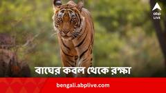 বাঘের জিভ টেনে ধরে নিজেকে বাঁচায় ১৭ বছরের অঙ্কিত, কেমন আছে উত্তরাখণ্ডের কিশোর ?