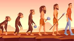 Human Evolution History: নিরুপায় হয়ে মাথায় আশ্রয়, মানুষ কবে জামা পরতে শুরু করে, জানাল উকুনই