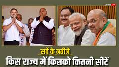 दिल्ली, बिहार, झारखंड, आंध्र प्रदेश में NDA की लहर, देखें ABP सी वोटर के ओपिनियन पोल के नतीजे