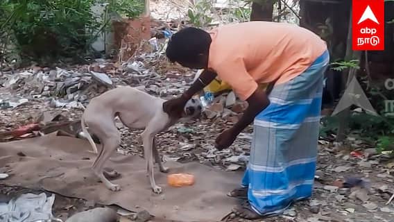 Puducherry girl's dog : விடிய விடிய ஒரே அழுகை”என் தங்கம் எங்க போச்சு” புதுவை சிறுமியின் நாய் கண்ணீர்