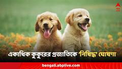 একাধিক কুকুরের প্রজাতিকে নিষিদ্ধ ঘোষণা! বড় ঘোষণা কেন্দ্রের