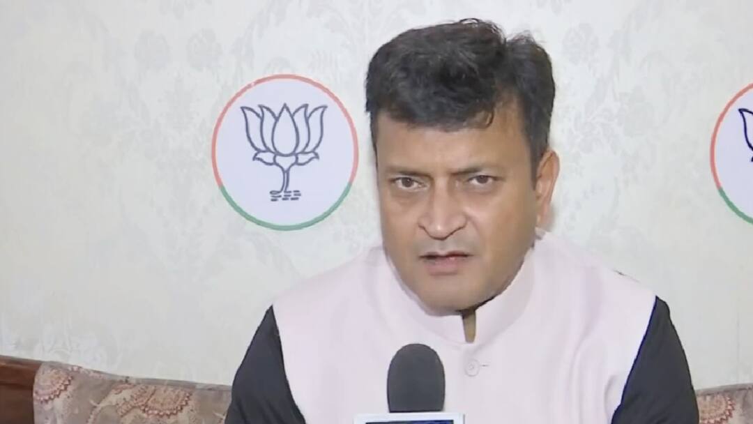 Bihar Politics: 'परिवार को आपस में BJP लड़ाती है', 'चाचा-भतीजे' प्रकरण पर RJD का बड़ा आरोप, भाजपा ने किया पलटवार Statement of RJD leader Aijaz Ahmed and BJP leader Ajay Alok regarding Chirag and Pashupati ANN Bihar Politics: 'परिवार को आपस में BJP लड़ाती है', 'चाचा-भतीजे' प्रकरण पर RJD का बड़ा आरोप, भाजपा ने किया पलटवार