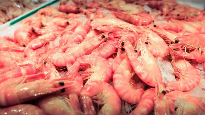 রুই-কাতলা-ইলিশ থেকে শুরু করে চিংড়ি, বাঙালির আহারে মাছের বাহার কিন্তু কম নেই। এগুলির মধ্যে আমাদের অন্যতম প্রিয় চিংড়ি।