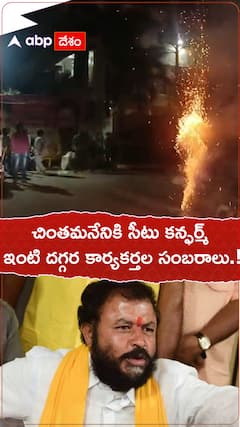 చింతమనేనికి సీటు కన్ఫర్మ్..కార్యకర్తల సంబరాలు.!