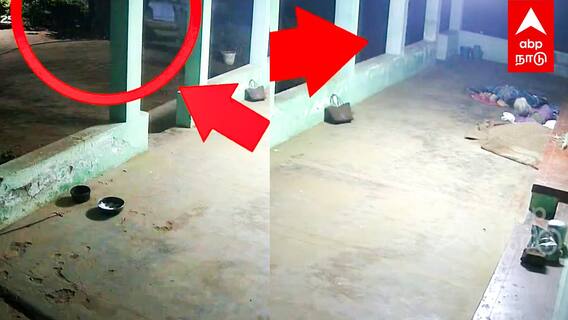 Elephant Attack in Kovai : தனியே சிக்கிய மூதாட்டி.. பந்தாடிய காட்டு யானை. நடுங்க வைக்கும் வீடியோ