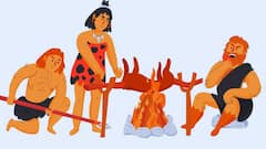 Human Evolution History: নিরুপায় হয়ে মাথায় আশ্রয়, মানুষ কবে জামা পরতে শুরু করে, জানাল উকুনই