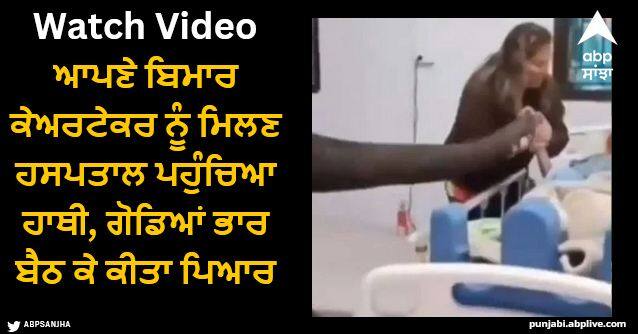 elephant reaches hospital to meet sick elderly caretaker watch viral video Viral Video: ਆਪਣੇ ਬਿਮਾਰ ਕੇਅਰਟੇਕਰ ਨੂੰ ਮਿਲਣ ਹਸਪਤਾਲ ਪਹੁੰਚਿਆ ਹਾਥੀ, ਗੋਡਿਆਂ ਭਾਰ ਬੈਠ ਕੇ ਕੀਤਾ ਪਿਆਰ, ਵੀਡੀਓ ਦੇਖ ਹੋ ਜਾਵੇਗਾ ਭਾਵੁਕ