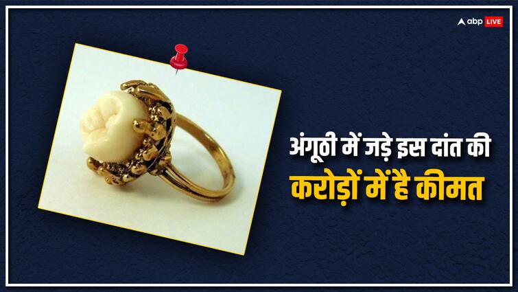 इस शख्स का दांत दुनिया में सबसे महंगा, जिस अंगूठी में जड़ा है उसकी करोड़ों में है कीमत sir isaac newton tooth is the most expensive in the world the ring in which it is embedded is worth crores इस शख्स का दांत दुनिया में सबसे महंगा, जिस अंगूठी में जड़ा है उसकी करोड़ों में है कीमत