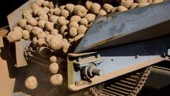 भारत या फिर चीन... किस देश में होता है सबसे ज्यादा आलू? कई देशों की भरपाई करते हैं ये देश