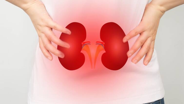 World Kidney Day 2024 A special story on how your regular habits may harm your kidneys World Kidney Day 2024 : ఈ పనులు రోజూ చేస్తున్నారా? అయితే మీ కిడ్నీలు హాంఫట్