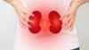 World Kidney Day 2024 : ఈ పనులు రోజూ చేస్తున్నారా? అయితే మీ కిడ్నీలు హాంఫట్