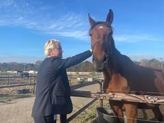 मस्जिदों और कुरान को बैन लगाने वाले नेता गीर्ट विल्डर्स क्यों फिर चर्चा में हैं