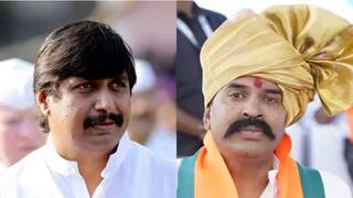 Madha Lok Sabha: मोहिते पाटलांची माढ्यात दणक्यात प्रचाराला सुरुवात; पश्चिम महाराष्ट्रात भाजपाची डोकेदुखी वाढणार?