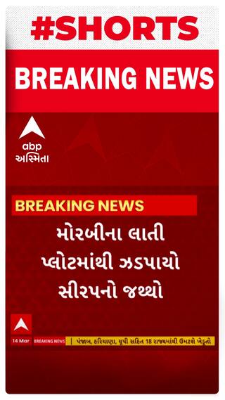 Morbi News । લાતી પ્લોટમાંથી ફરી એકવાર ઝડપાયો સિરપનો જથ્થો
