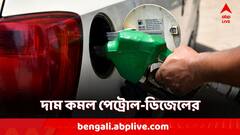 লোকসভা ভোটের আগের দাম কমল পেট্রোল-ডিজেলের! আপনার পকেট কতটা বাঁচবে?